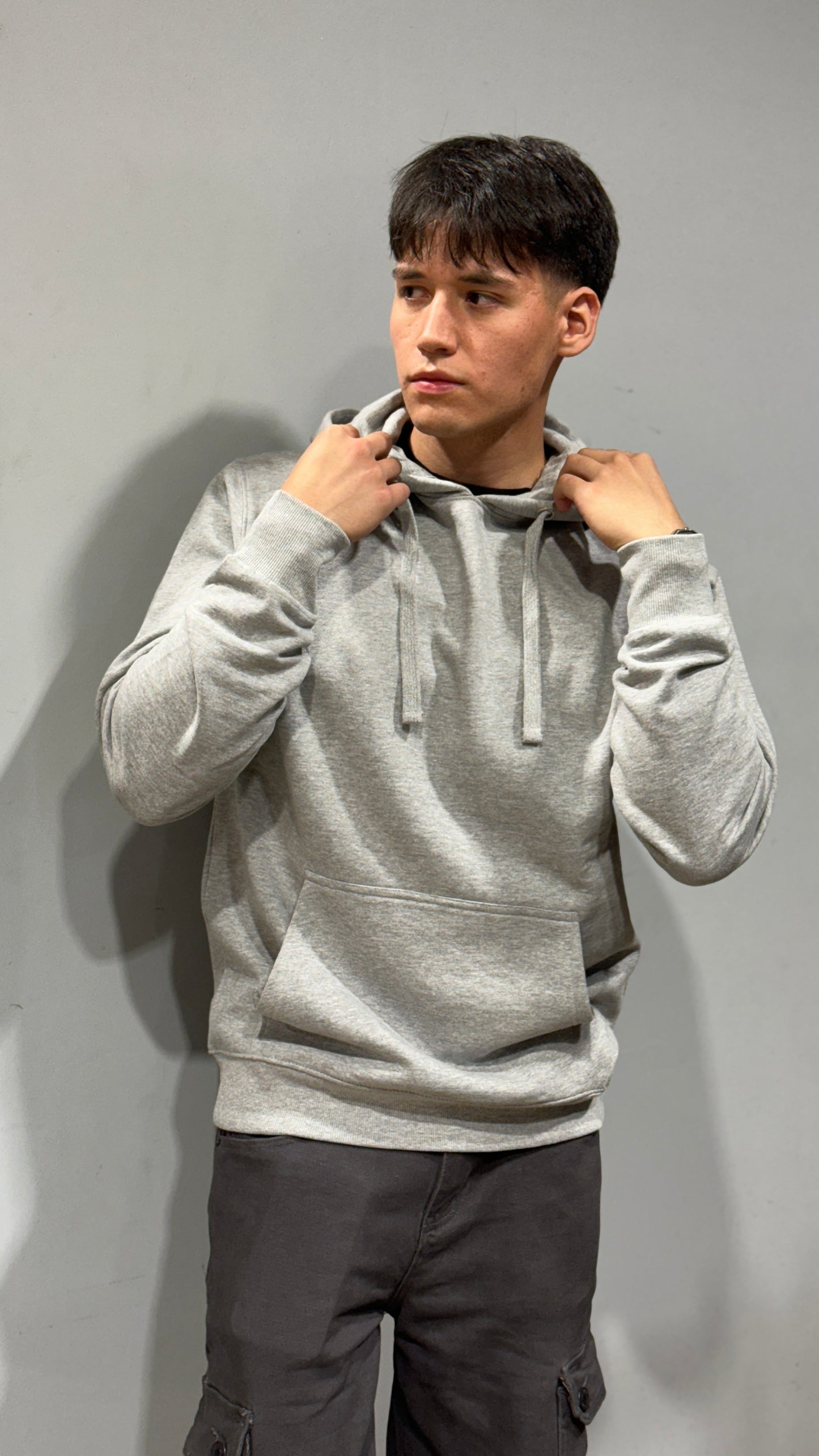 Hoddie 100% algodón