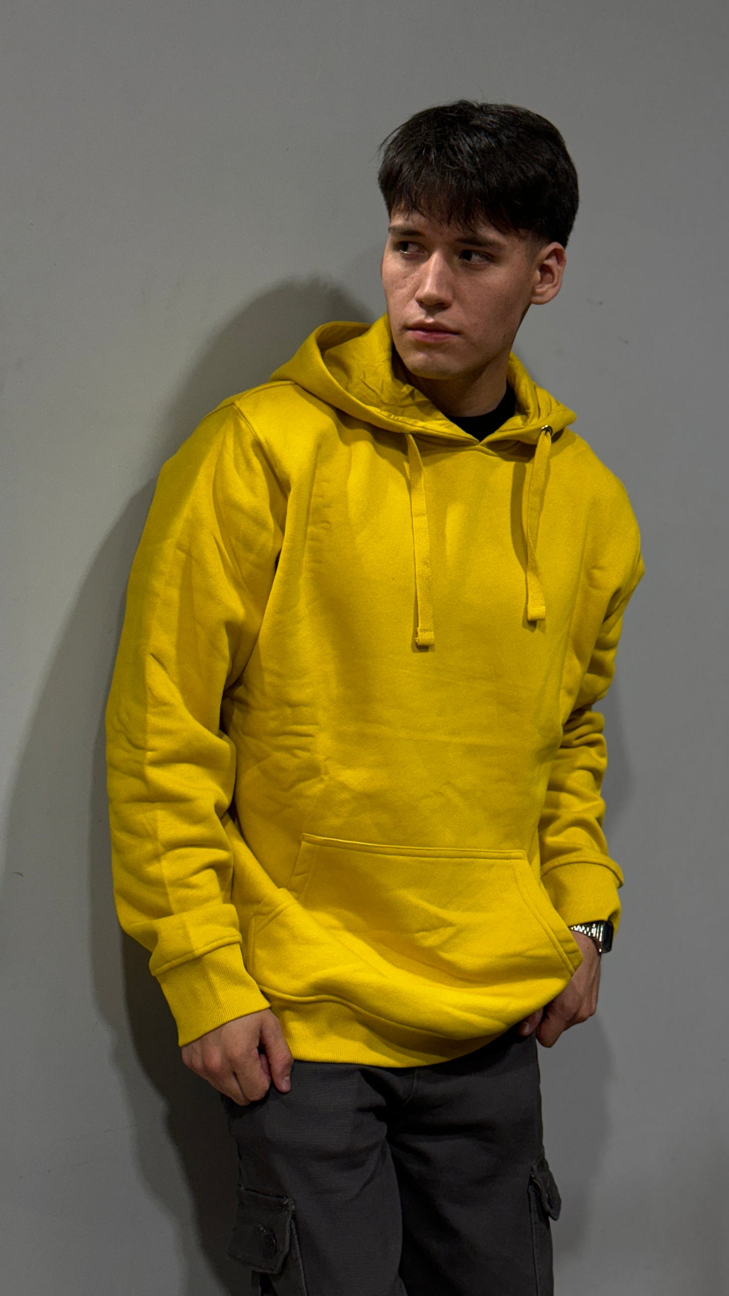 Hoddie 100% algodón